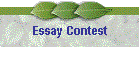 Essay Contest