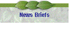 News Briefs
